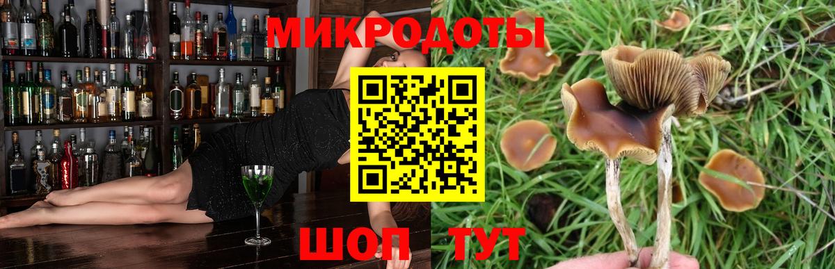 Тара  Псилоцибиновые грибы Magic Shrooms  Вход с VPN 